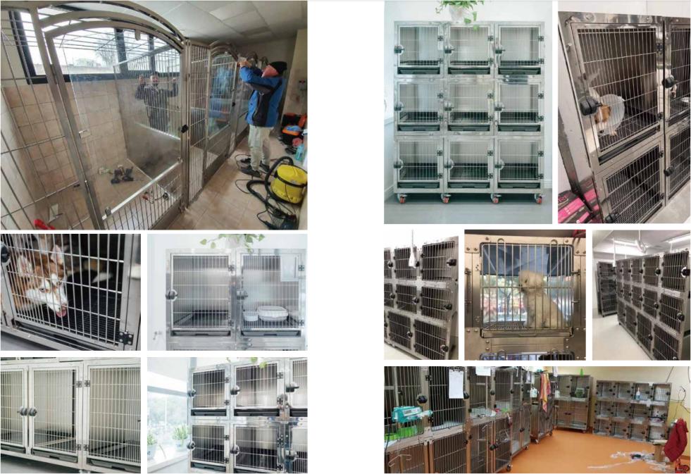 Veterinary Waterproof Fiberglass Modular Dog Cage
